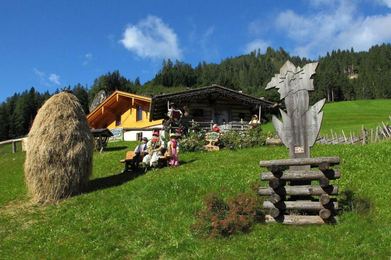 Ferienwohnung Bauernhof Schornlehen Großarl Exterior foto