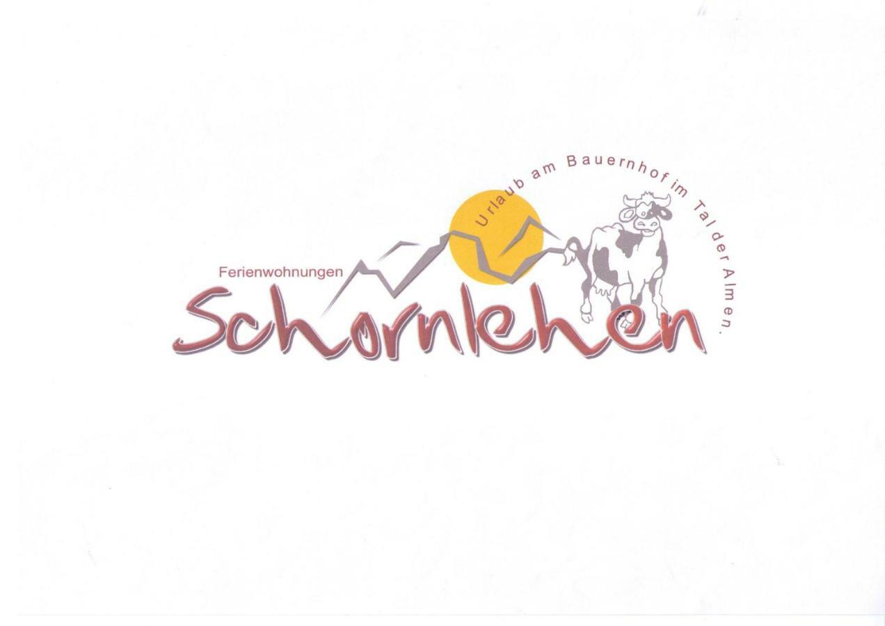 Ferienwohnung Bauernhof Schornlehen Großarl Exterior foto